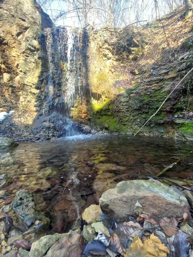 Skriveni Raj Vendégház Gornji Milanovac Kültér fotó